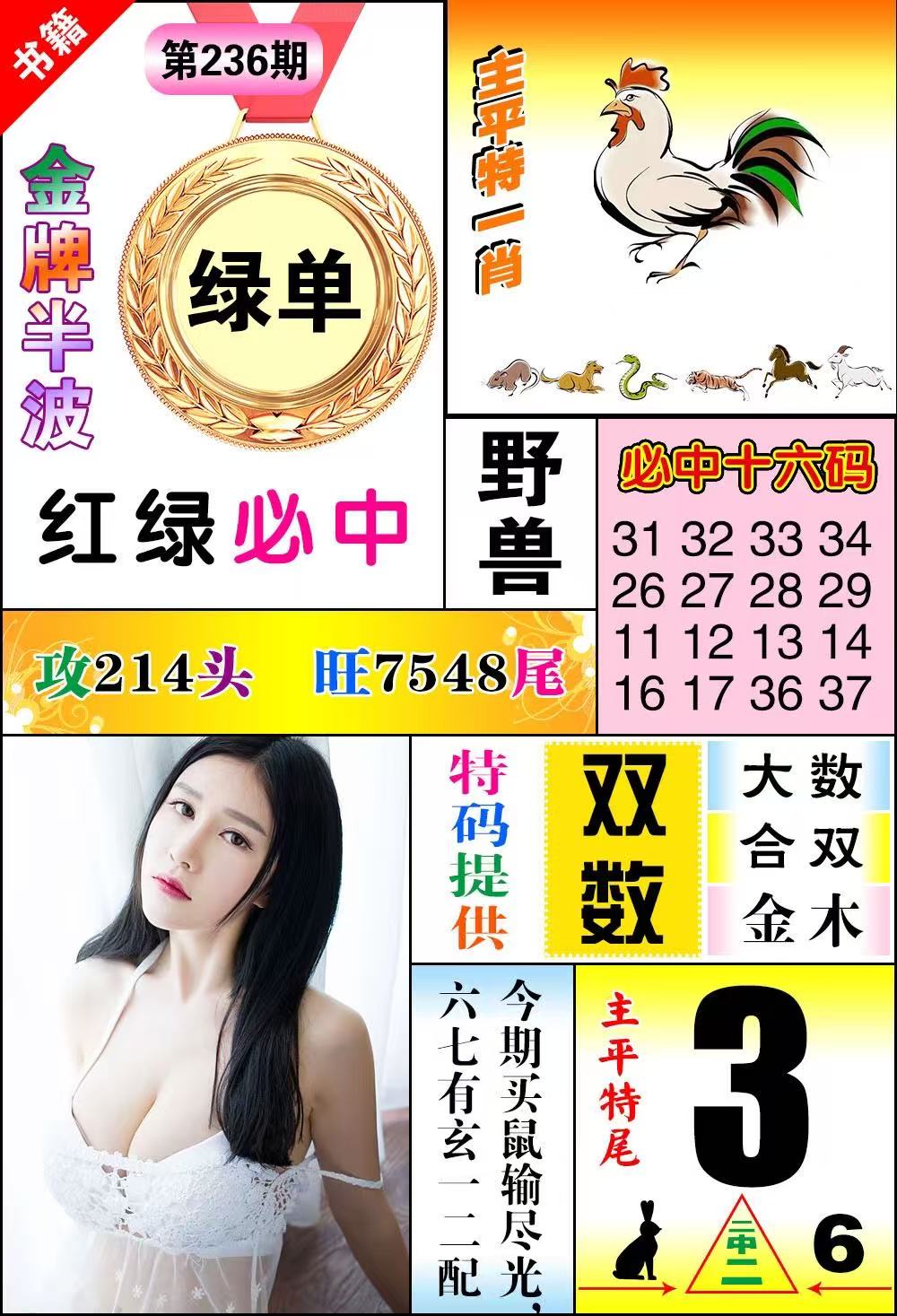 图片正在更新中……